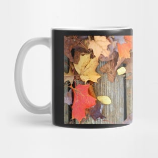 Autumn Leaves Mug